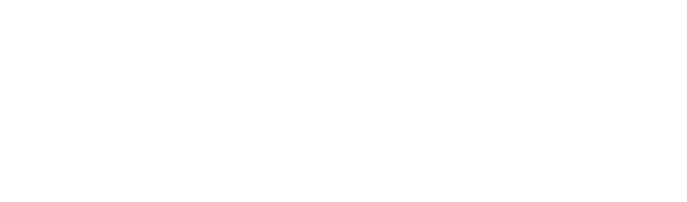 Dicora X